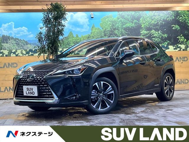 UX 250h バージョンC
