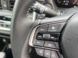 マニュアル車のような感覚で、ワインディングロードでも車を操れるパドルシフト付きです。長い下り坂でのエンジンブレーキや、高速道路の合流の際の加速も思いのままです