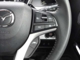 ACCの操作スイッチを確認できます。高速道路などでの運転負担軽減に役立ちます。