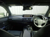 UX 250h 