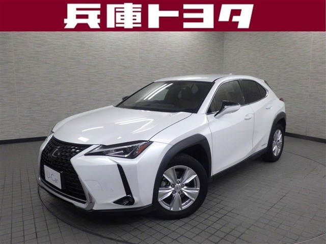 UX 250h バージョンC 