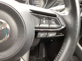 ステアリング右には運転支援系システムがまとまっており、運転中の操作の迷いを少なくしてくれます。