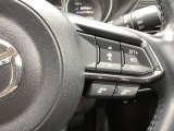 ステアリング右には運転支援系システムがまとまっており、運転中の操作の迷いを少なくしてくれます。