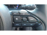 レーダークルーズコントロール。前の車の速度に合わせて車間をキープしてくれます。渋滞時も対応。高速道路での運転を支援してくれます。
