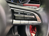ステアリング上に運転支援機能などのスイッチが集約され、各ボタンの表示を確認しながら操作できます。手元で機能を選べるため、運転中の視線移動を抑えたい方にも便利です。