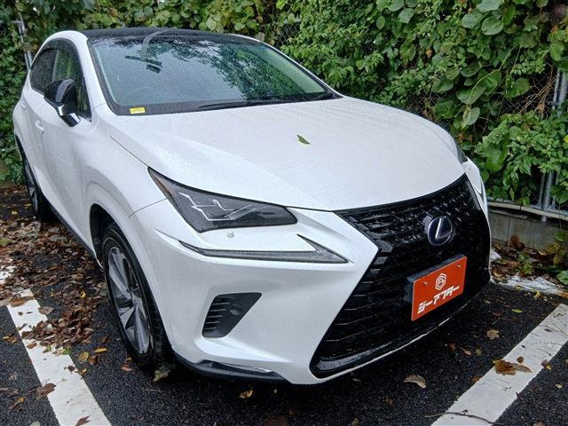 NX 300h ブラック シークエンス 禁煙車 純正ナビ フルセグTV