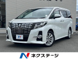 ALPINE製フリップダウンモニター 9インチナビ 両側電動スライドドア