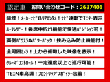 エルグランド 2.5 250ハイウェイスター 360&deg;カメラ TEIN車高調