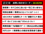 アルファード 2.5 S Aパッケージ タイプ ブラック 10インチナビ レーダークルーズ