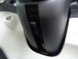 速度感応式電動パワーステアリング下のレベル調整機能付チルト/テレスコピック機構。