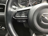 オーディオコントロールスイッチ付で操作も楽ですよ