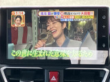 テレビ番組を画面で視聴でき、停車中の待ち時間を過ごす際にも活用できます。画面上に番組映像や字幕が表示され、見たい内容を確認しやすい装備です。