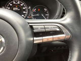 ステアリング右には運転支援系システムがまとまっており、運転中の操作の迷いを少なくしてくれます。