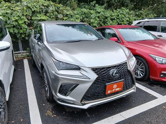 NX 300 クール&ブライト 禁煙車 純正10.3インチナビ フルセグTV