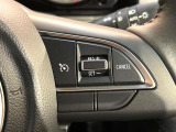 【クルーズコントロール】高速道路もラクラク走行。アクセルを離しても一定速度で走行ができ、長距離運転時の負担を軽減!加速・減速も簡単なスイッチ操作で調整できます。