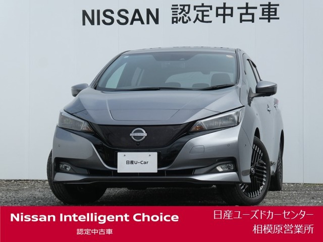 リーフ G