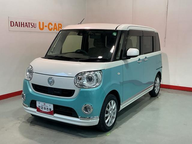 ムーヴキャンバス G メイクアップ SAII