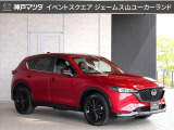 当グレードならではのフェンダーアーチモールのクラッティング塗装がより上質な雰囲気を醸し出してくれています!
