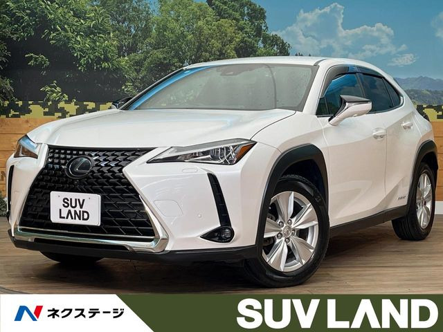 UX 250h バージョンC