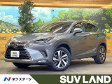 10.3インチメーカーナビ サイド・バックカメラ 18インチアルミ