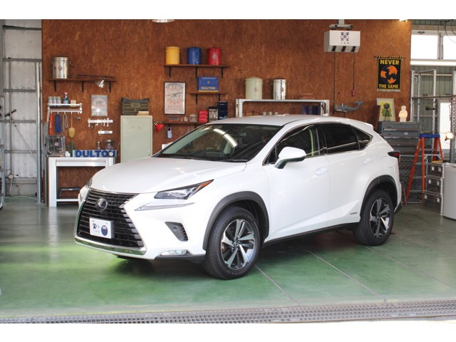 NX 300h Iパッケージ 