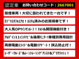 アルファード 2.5 S Cパッケージ 11インチナビ モデリスタエアロ Wサンルーフ