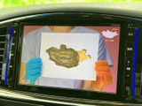 テレビ番組を画面に表示でき、停車中に車内で映像を楽しめます。お出かけ先で休憩する時間や、待ち時間を車内で過ごす際にも活用しやすい装備です。