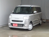 ムーヴキャンバス  ストライプス G