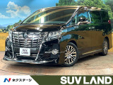 モデリスタエアロ JBLサウンド リアエンター 10型ナビ 全周囲カメラ