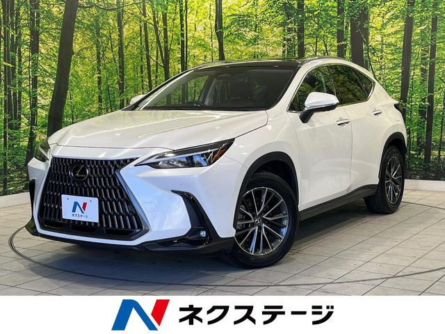 NX 350h