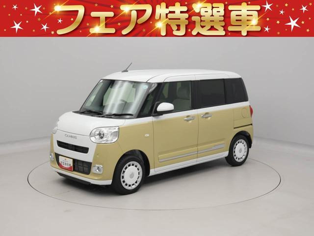 ムーヴキャンバス ストライプス G