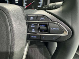 各操作スイッチなどもハンドルから手を放すことなく操作可能で安全運転に支援いたします!