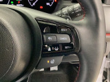 【レーダークルーズコントロール】手元のリモコンで設定した速度と車間距離で先行車についていきます!また任意で道路白線の内側で走行してくれる機能も使用可能。高速道路や長距離走行時に役立つ機能です。