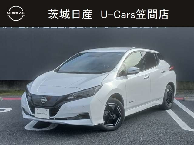 リーフ e+ X