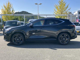 NX 250 バージョンL 4WD