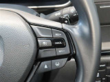 車間制御付きのレーダークルーズ装備です。