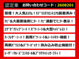 アルファード 2.5 S Cパッケージ モデリスタエアロ リアモニ レーダークルーズ