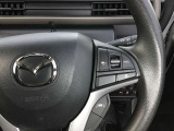 クルーズコントロール機能付きです
