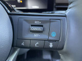 速度を決めて、前方車との車間を保ちながら走行できます プロパイロットつきです