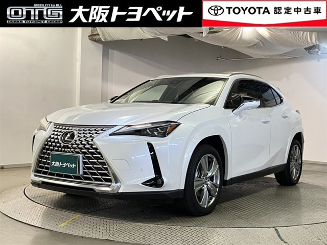 UX 250h グレイスフル エクスプローラー
