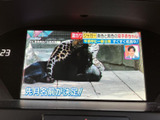 テレビ番組を表示できる画面を備え、停車中のひとときに映像を楽しめます。画面上に番組情報も表示され、車内での過ごし方に便利さを添える装備です。操作部も近くにまとまり、扱いやすい印象です。