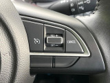 【クルーズコントロール】高速道路もラクラク走行。アクセルを離しても一定速度で走行ができ、長距離運転時の負担を軽減!加速・減速も簡単なスイッチ操作で調整できます。