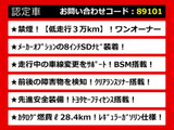 カムリ 2.5 G BSM レーダークルーズ プリクラッシュ LEDライト LDA