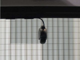 ◆リアにもドライブレコーダーを装備しております◆映像・音声などを記録する自動車用の装置です。もしもの事故の際の記録はもちろん、旅行の際の思い出としてドライブの映像を楽しむことができます。