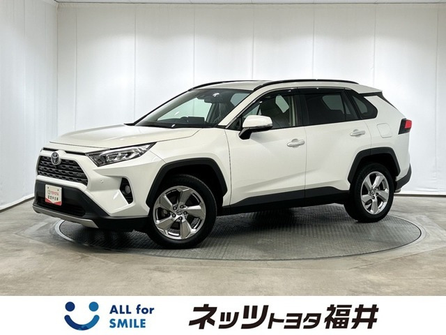 RAV4 2.0 G 4WD