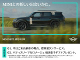ミニカントリーマン E 