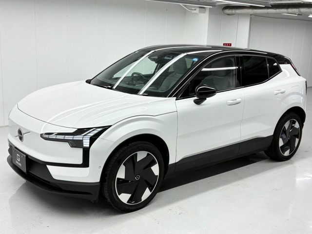 EX30 ウルトラ シングルモーター エクステンデッド レンジ 