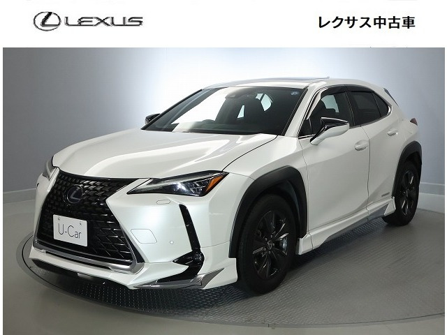 UX 250h バージョンC