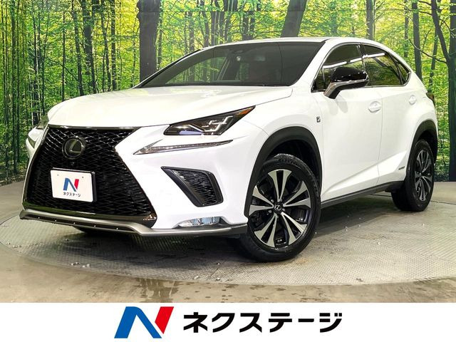 NX 300h Fスポーツ