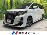 フルエアロ 両側電動ドア SDナビ 後席モニター バックカメラ